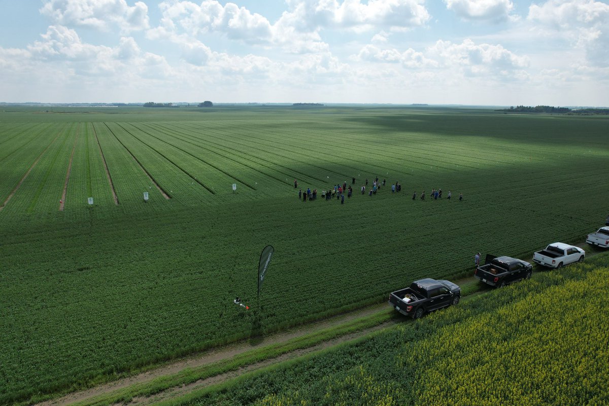 Zachary McLane tweet media