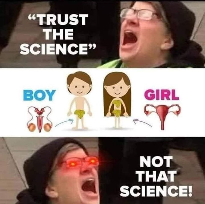MeanMemes99's tweet photo. https://t.co/TZEgCnhiN5