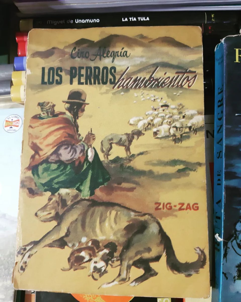 Maldita_berna's tweet photo. A veces me hacen encargos librísticos, en la última visita al #persabiobio encontré libros chilenos con portadas de #marioigor o #elenapoirier a muy buen precio. Me acordé que le interesaban a @Gonzo_Martinez, así que los compré y mañana se los entrego :) #bookshopper XD https://t.co/MZvbwTfeZg