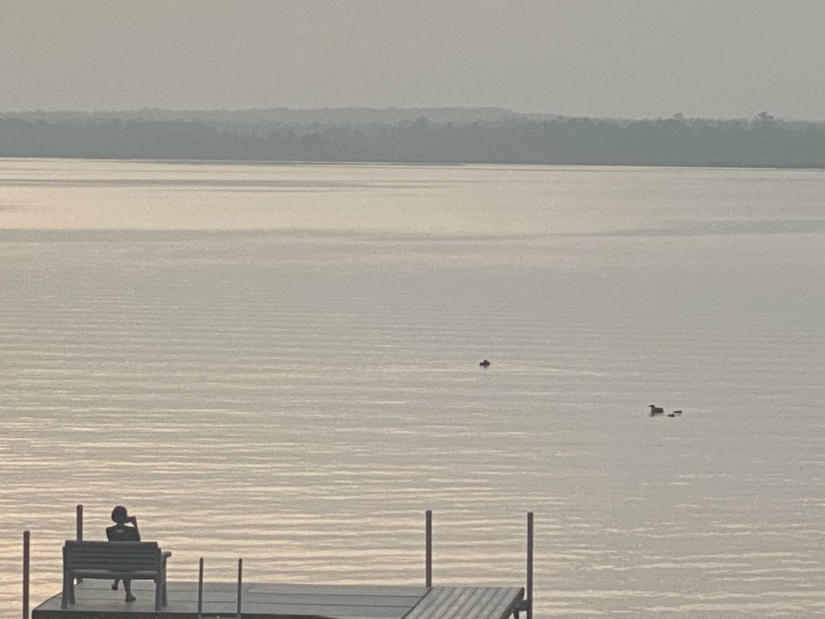 All is well with our family of Loons here in #walker #minnesota on ⁦<a href="/LeechLakeTB/">Leech Lake Tourism</a>⁩ #grateful #serenity #exploreyourwildside