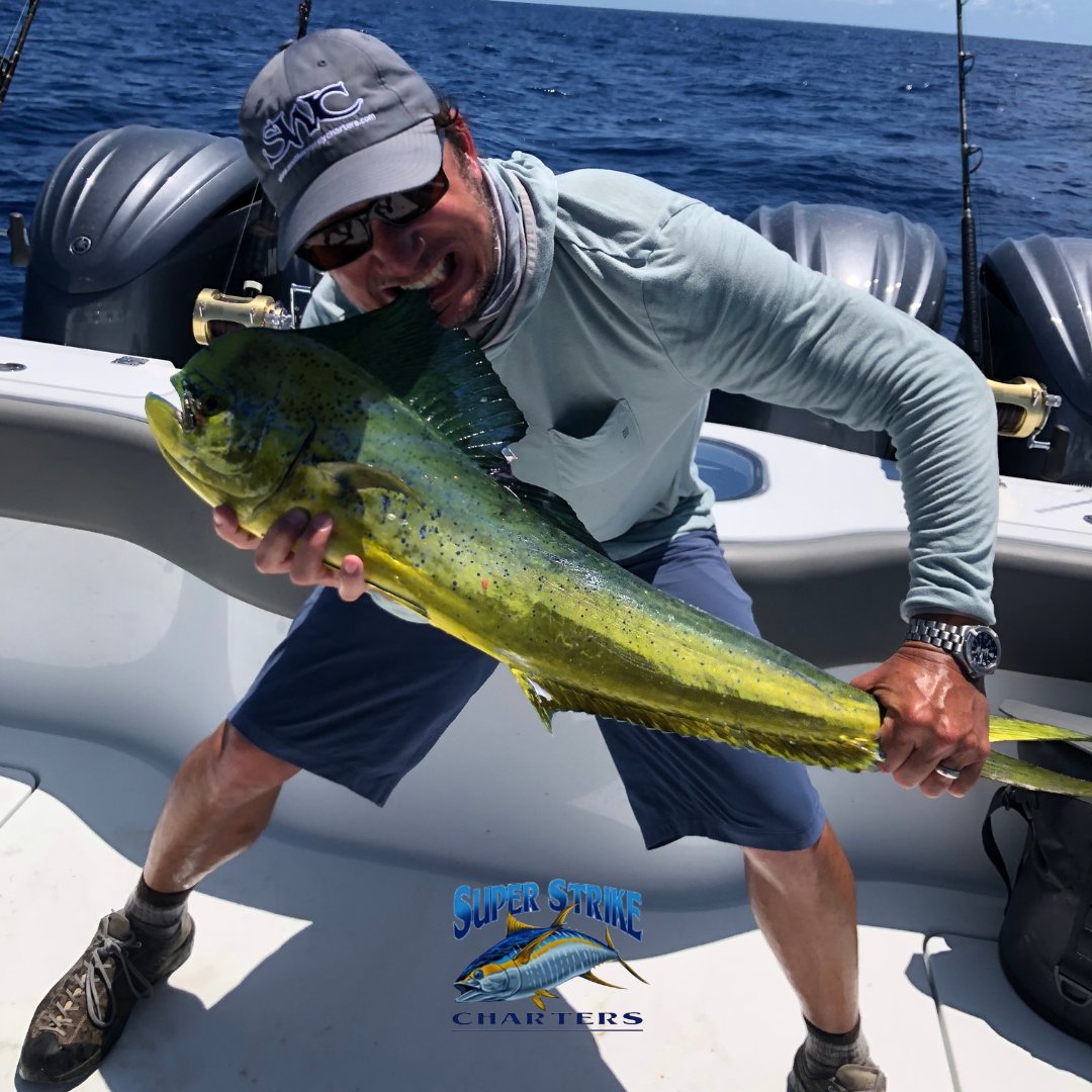 I mean, we wouldn't suggest eating mahi-mahi like that, but you do you Haddad crew! 😜 Great fishing yesterday with Captain Bob!

#fishing #Louisiana #Louisianafishing #mahimahi #gulfcoast #saltwaterfishing  #fishingcharter #summer #fish #superstrike #superstrikefishingcharter