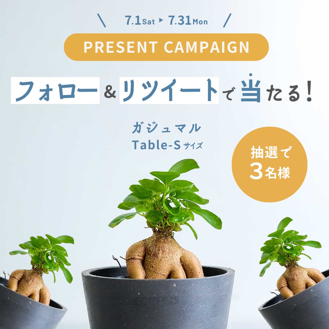 ／／ 
フォロー＆RT で
プレゼントキャンペーン🎉 
＼＼

抽選でAND PLANTSの「ガジュマル Table-S」 
を3名様にプレゼント🎁
andplants.jp/products/chine…

【応募方法 】
①<a href="/andplants_jp/">観葉植物・お花の通販 AND PLANTS (アンドプランツ)</a>をフォロー  
②この投稿をRT

〆切　7月31日（月）まで