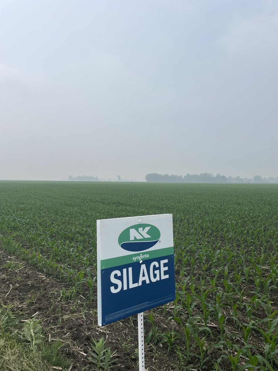 David Royer tweet media