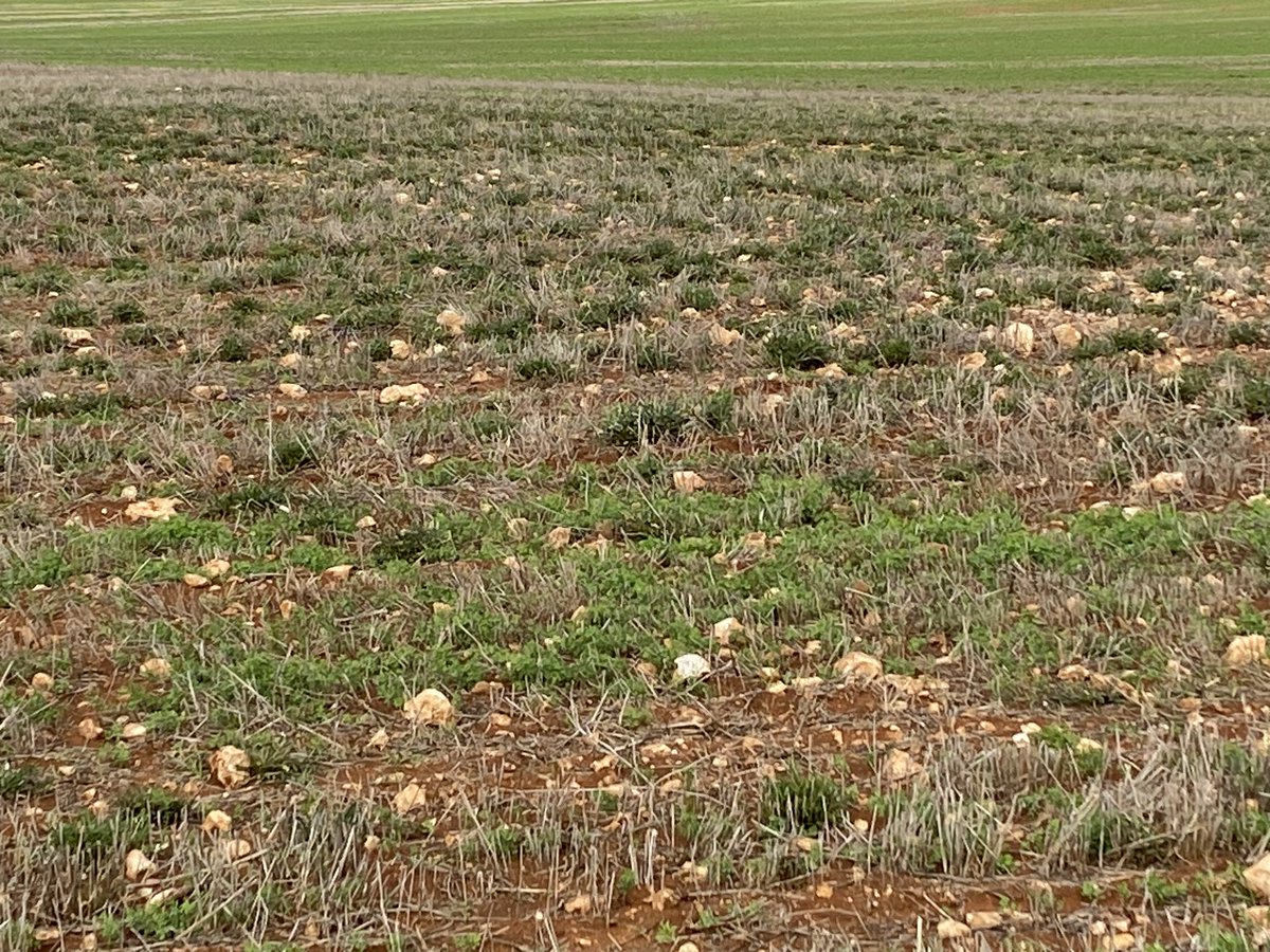 Chris Davey tweet media