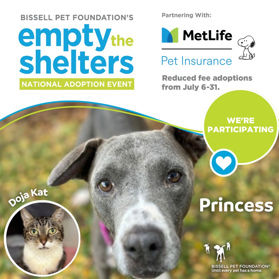 Maui Humane Society will be participating AGAIN in the summer adoption event of the year, Empty The Shelters! From July 6-31st enjoy reduced adoption fees: Adult Animals $50 + all adult cats only $10! Visit us Tues-Sun 11-5p daily! @BISSELLPets