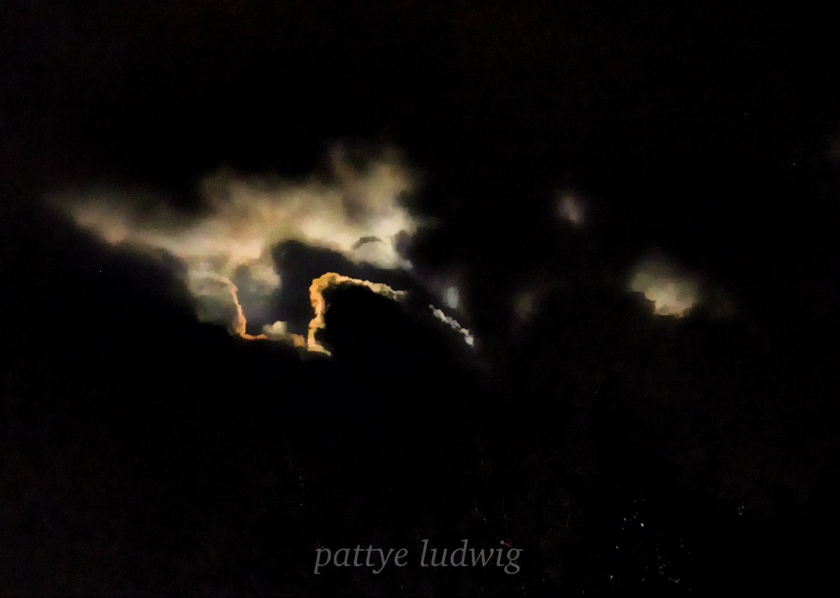 Pattye 🇺🇲 tweet media
