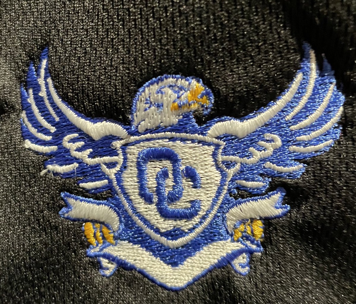 DrFinchDVUSD's tweet photo. The completed @DVUSD Volleyball State Championship shirt is done for Deer Valley @dvskyhawks @DVHSSkyhawks Men and O’Connor @oconnorhighsch Women’s Beach Titles. @oc_beachvb and @DVHS_MensVball had a #banner year! https://t.co/9z8aGsZtRH