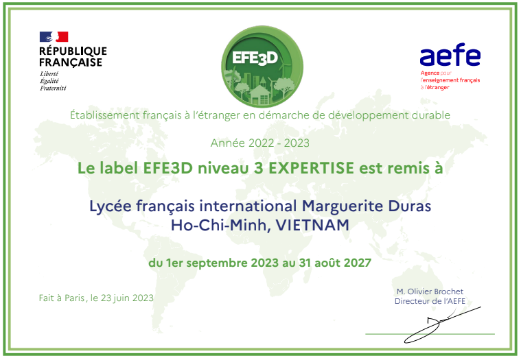 LfiDuras tweet media