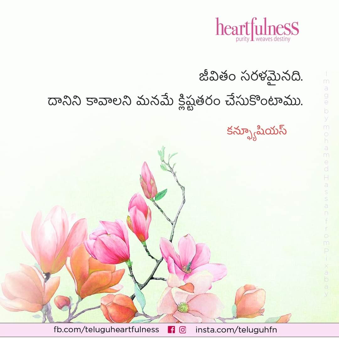 nellurus's tweet image. మంచి మాట
(Quote in English: "Life is really simple, but we insist on making it complicated." - Confucius)
#life #simple #complicate #heartfulnesstelugu #heartfulness #kamleshpatel #daaji #heartfulnessmagazine