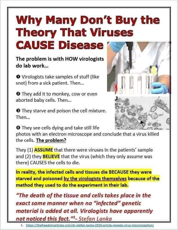 Alchemywizzard's tweet photo. @JennaEllisEsq There's no such thing as a Contagious Virus. Virology is a pseudo Science. 👇
#TerrainModel > #GermTheory https://t.co/nvmCiqqLqi