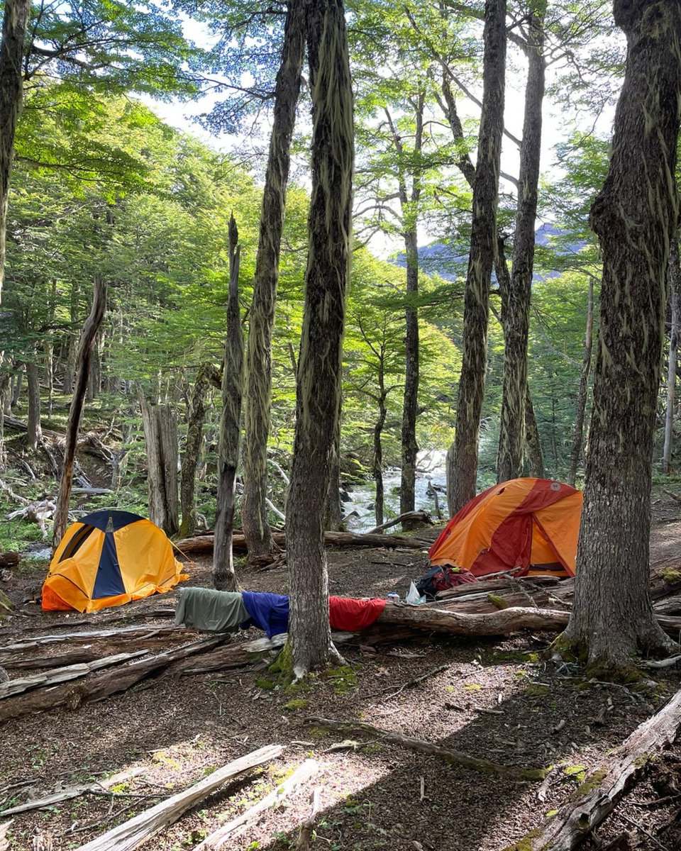 MODERN ADVENTURE tweet media