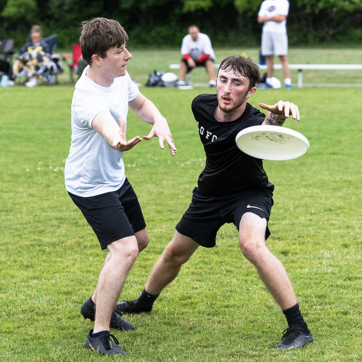 Fort Wayne Ultimate tweet media