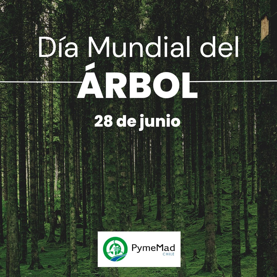 PyMEmad Chile F.N.G. (@pymemadag) on Twitter photo 