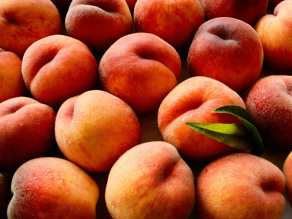 TheSpiderByte's tweet image. ...I should call him-