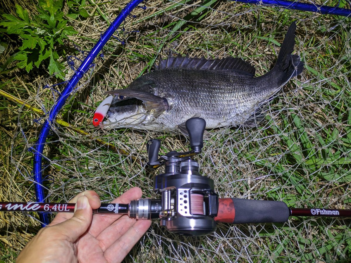 eno___ken's tweet photo. 体高あったから70いったかなぁ〜と思ったけどギリ無かった（笑）
 
#Fishman
#Beamsinte
#RH狂
#ima https://t.co/HQYlgRdFl2