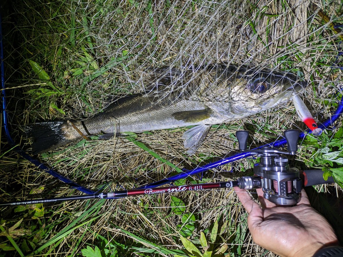 eno___ken's tweet photo. 体高あったから70いったかなぁ〜と思ったけどギリ無かった（笑）
 
#Fishman
#Beamsinte
#RH狂
#ima https://t.co/HQYlgRdFl2