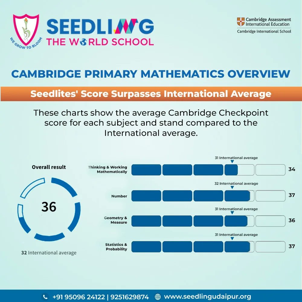 SeedlingUdaipur tweet picture