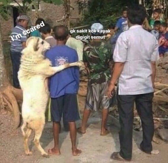 <a href="/tanyarlfes/">Tanyarlfes</a>