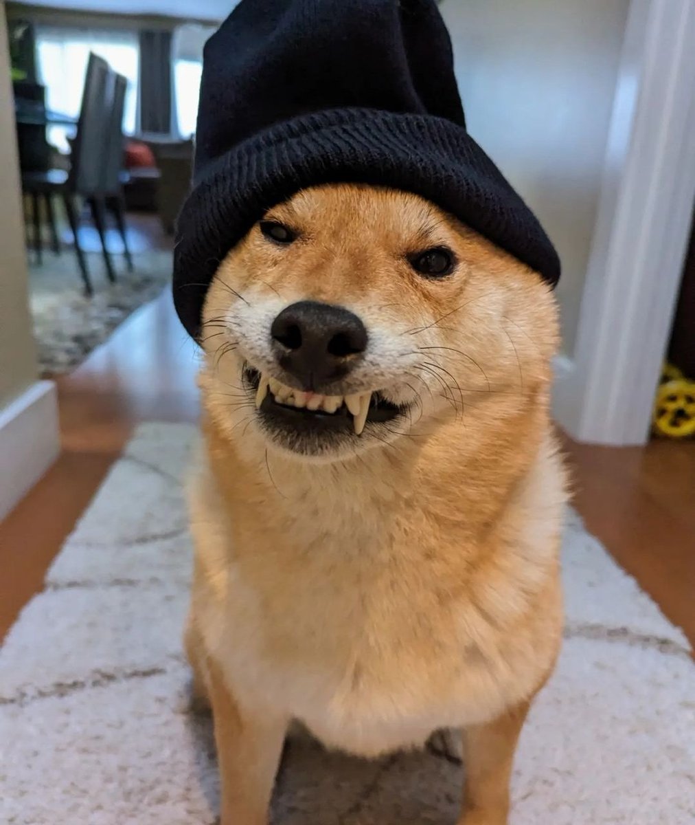 This is a robbery gimme all the treats!