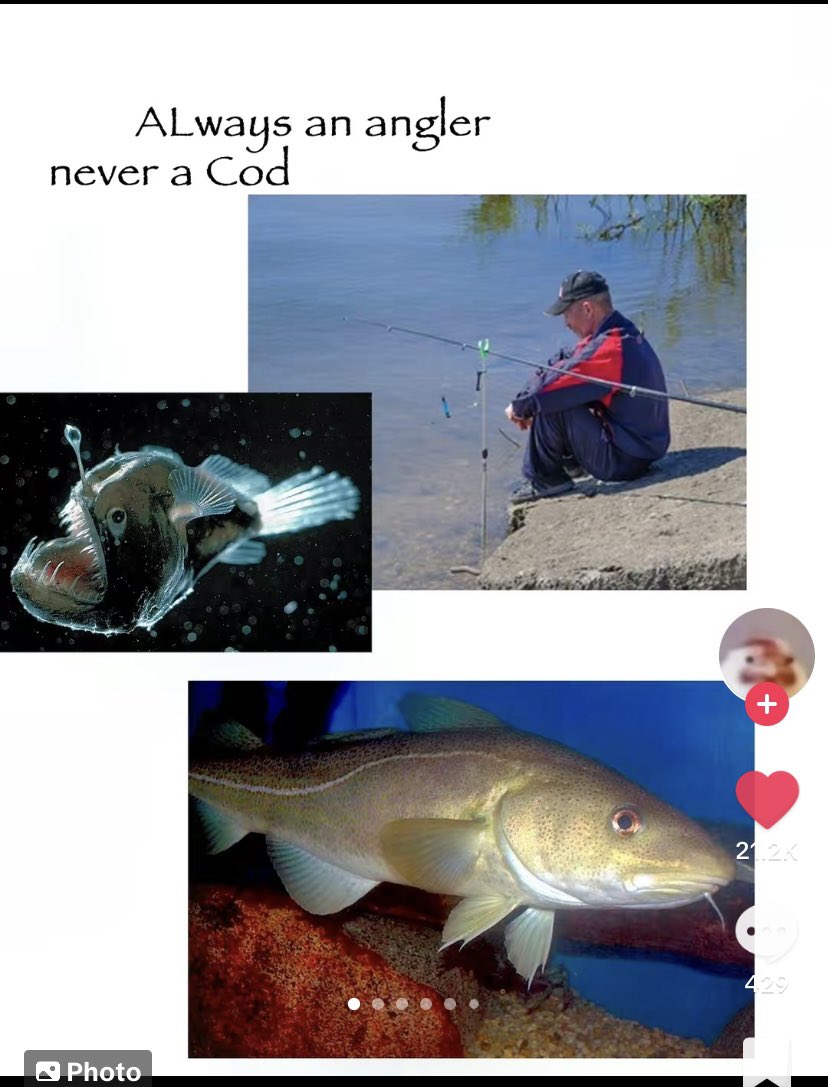 roundteef's tweet image. 