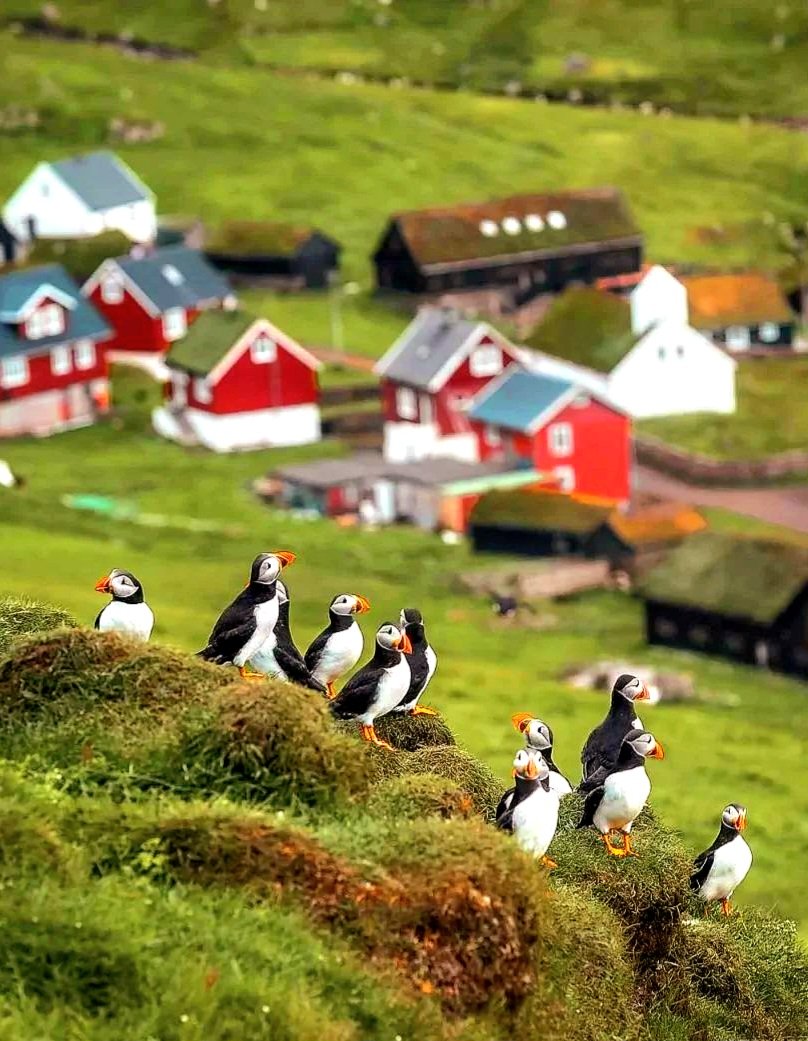 Good morning
🌤🏡🐧💕