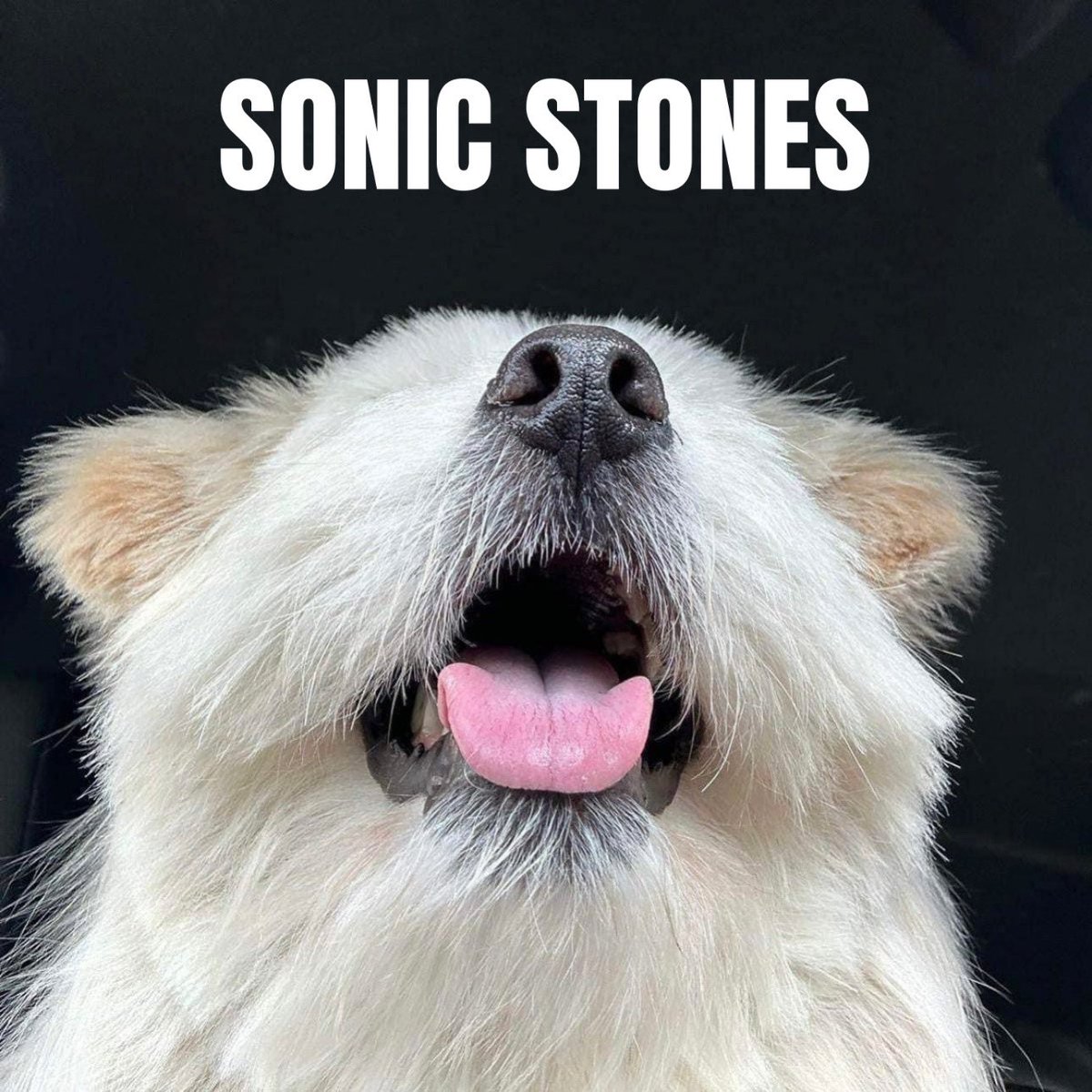 lovechipsintl's tweet photo. [LOVE CHIPS 발매 소식] 

“SONIC STONES” NEW SINGLE 「앞으로가」모든 음원 스트리밍 사이트를 통해
발매가 되었습니다!
⠀
”앞으로가“는 우리 인생에 대한 이야기를 풀어낸누구나 공감할 수 있는 유머러스한 가사와
따뜻한 멜로디가 어우러져 있는 곡 입니다.
지금 바로 체크하세요!

@SonicStones https://t.co/qLHh31A8Az