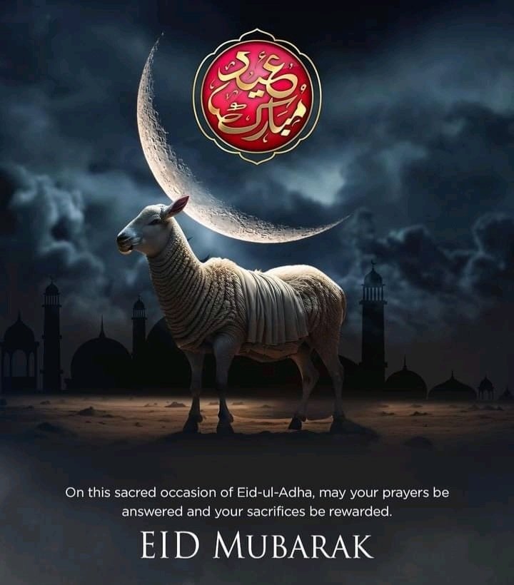 TanvEerAzizG's tweet photo. تمام اہل اسلام کو دلی عید مبارک !

#EidAlAdha
#eidmubarak
#EidulAzha
#Eid
#eid2033
#Qurbani
#Tanveerazizg
#ColorfullGraphics https://t.co/ljNCEiesD4