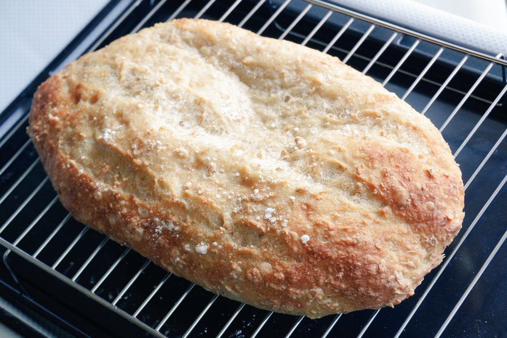 BreadmakerM's tweet image. 水分量を間違えた超高加水パンです。思ったより良く焼けました、ぺったんこ😂
素朴な塩味を噛みしめて食べました😋