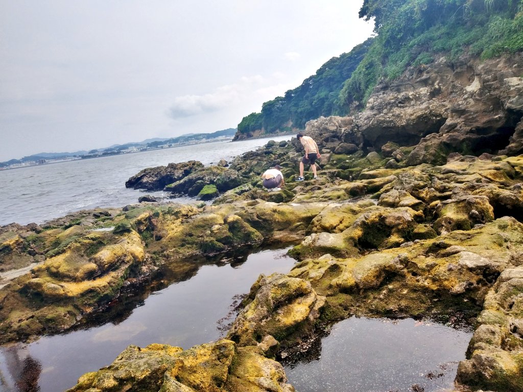 猿島は無人島だけど人が多くて無人島ぽくなかった☺️ https://t.co/P4Fy5WtLAV