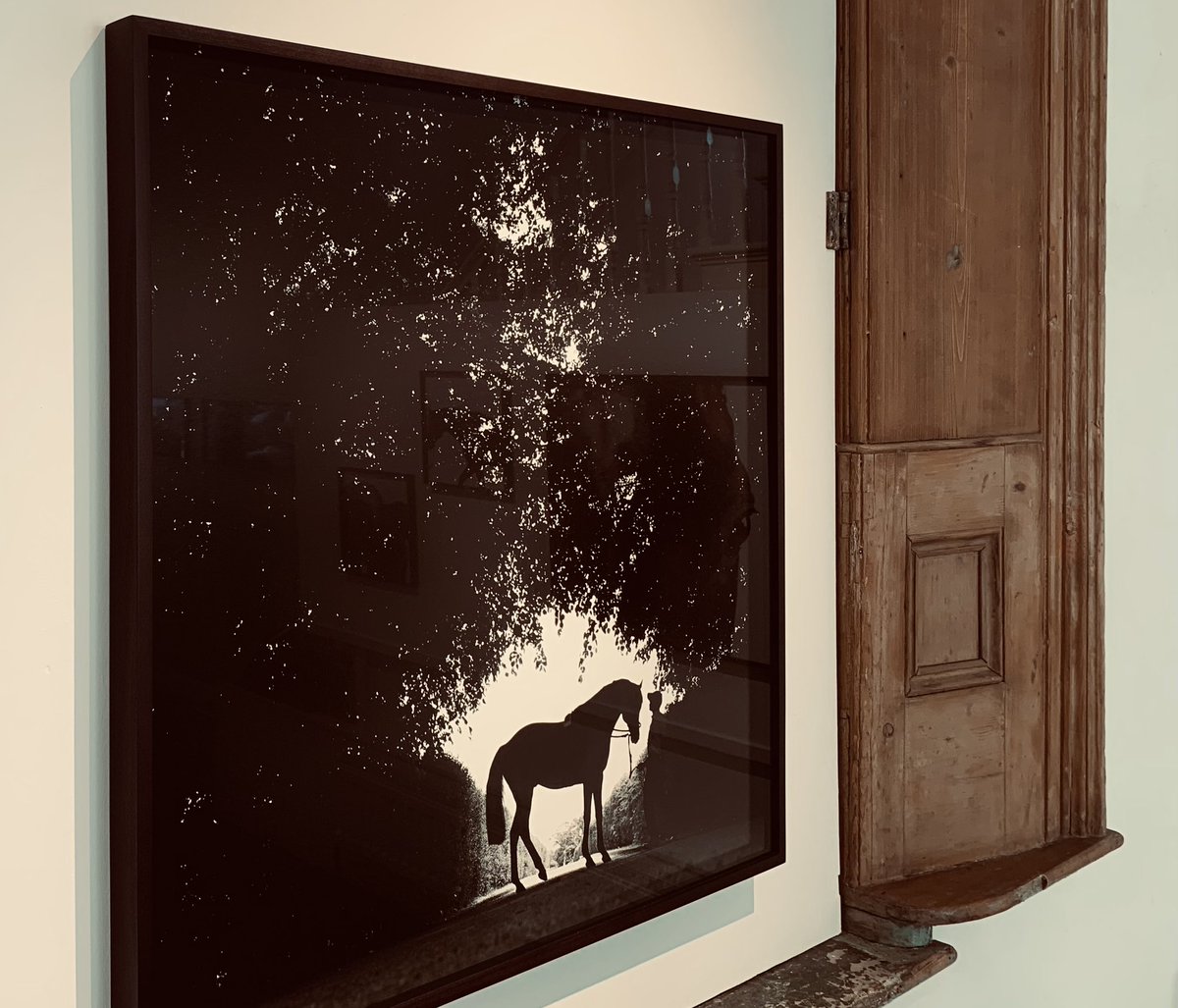 Exhibition extended! (after) Whistlejacket - Contemporary Equine Photographs by John Reardon @MMXgallery is on until 15th July #photograghy #London #exhibition