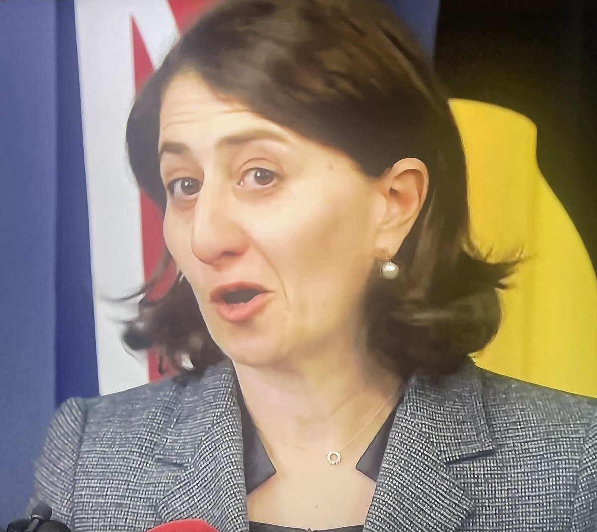 Let’s face it Gladys Berejiklian resigned because she knew she was corrupt af and wanted to keep her life long pension. Arrogant and deceitful grub.
#abc730 #icac #auspol #nswpol #LNPCorruptionParty #LNPCrimeFamily