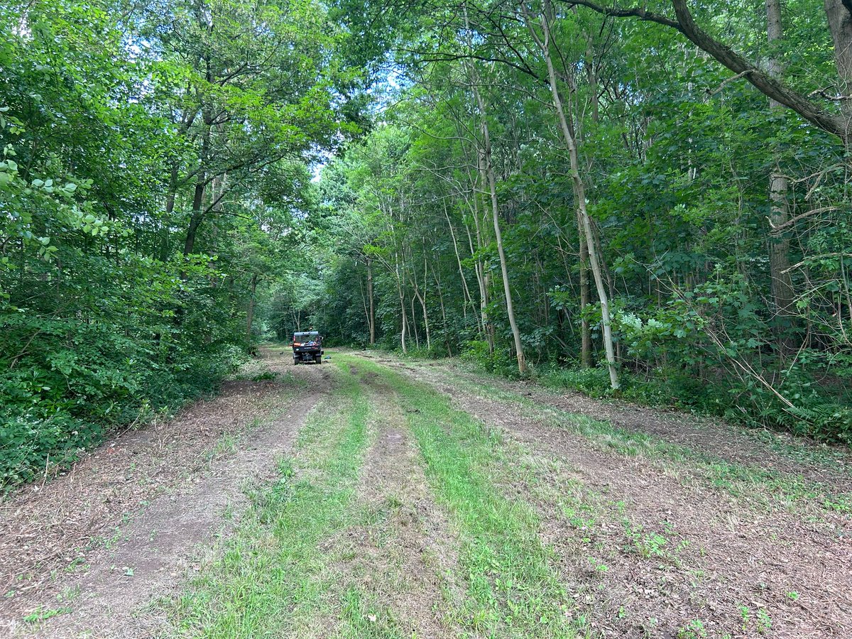 The site build continues... 🌳

#Noisilyfestival