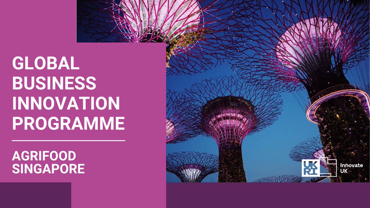 Singapore aims to become a global #agrifood tech hub where new innovations can thrive. <a href="/InnovateUK/">Innovate UK</a> is inviting innovative businesses to explore opportunities in agrifood in #Singapore. To find out more register for the applicant briefing on 11th July bit.ly/43K1gfx
