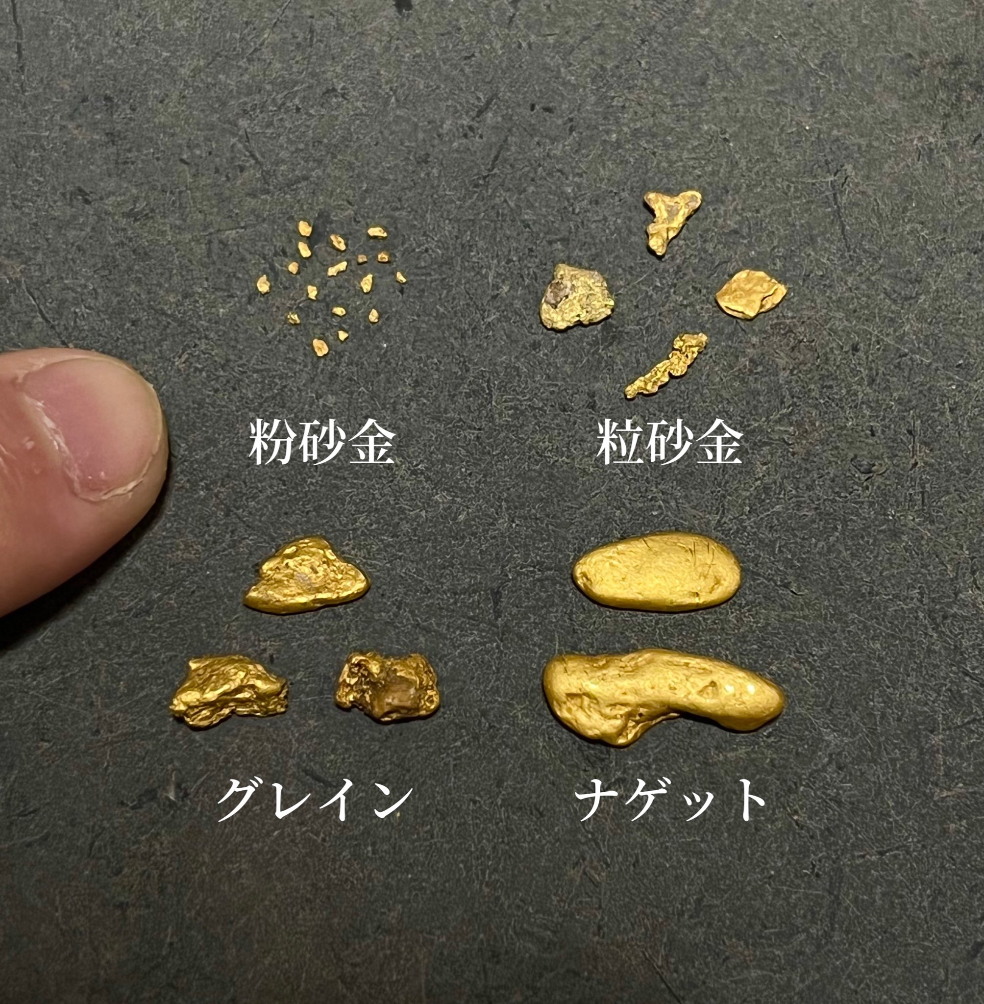 趣味の砂金採り on X:
