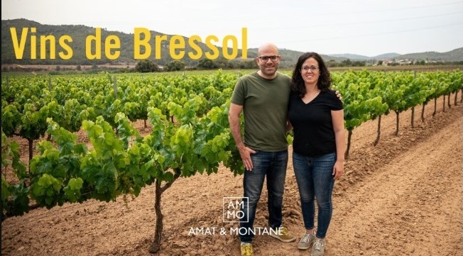 🍷El celler Amat&amp;Montané engega “Vins de Bressol” amb el propòsit d’apropar la història d’Olèrdola de la mà de vins “amb mínima intervenció”

✅Dilluns es posa en marxa una campanya de prevenda dels vins a la plataforma Verkami👇
verkami.com/locale/ca/proj…

olerdola.cat/news/el-celler…