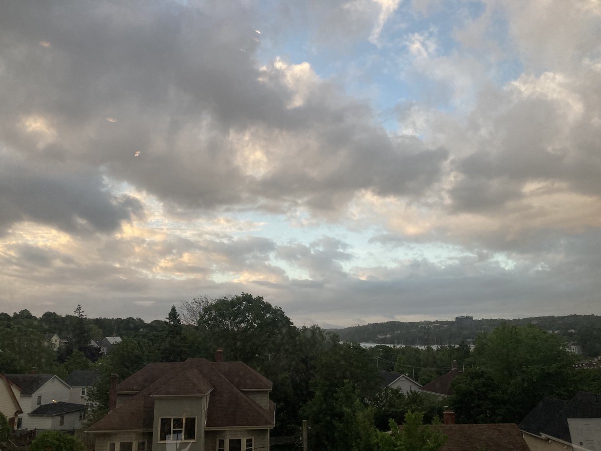 View from the studio this morn😯 No, really, actual blue sky…we may see the sun shortly!