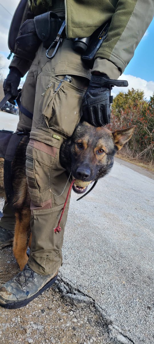 LondonPoliceK9🇨🇦 tweet media