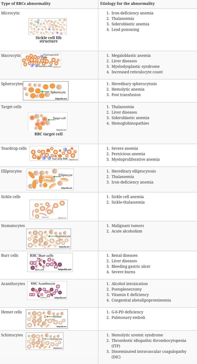 BrownJHM's tweet image. RBC morphology atlas 

#TipsForNewDocs #MedEd #MedTwitter #TipsforNewInterns

via: Labpedia.net