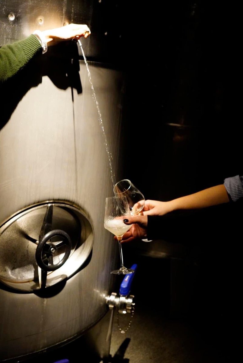 Poder disfrutar de una copa de Txakoli entre las viñas que le han dado vida es todo un placer!
Gracias por vuestras visitas y sonrisas🥂✨

#txakolirezabal #rezabalwinery #bodegarezabal #vineyard #mahastia #viñedo #wine #txakoli