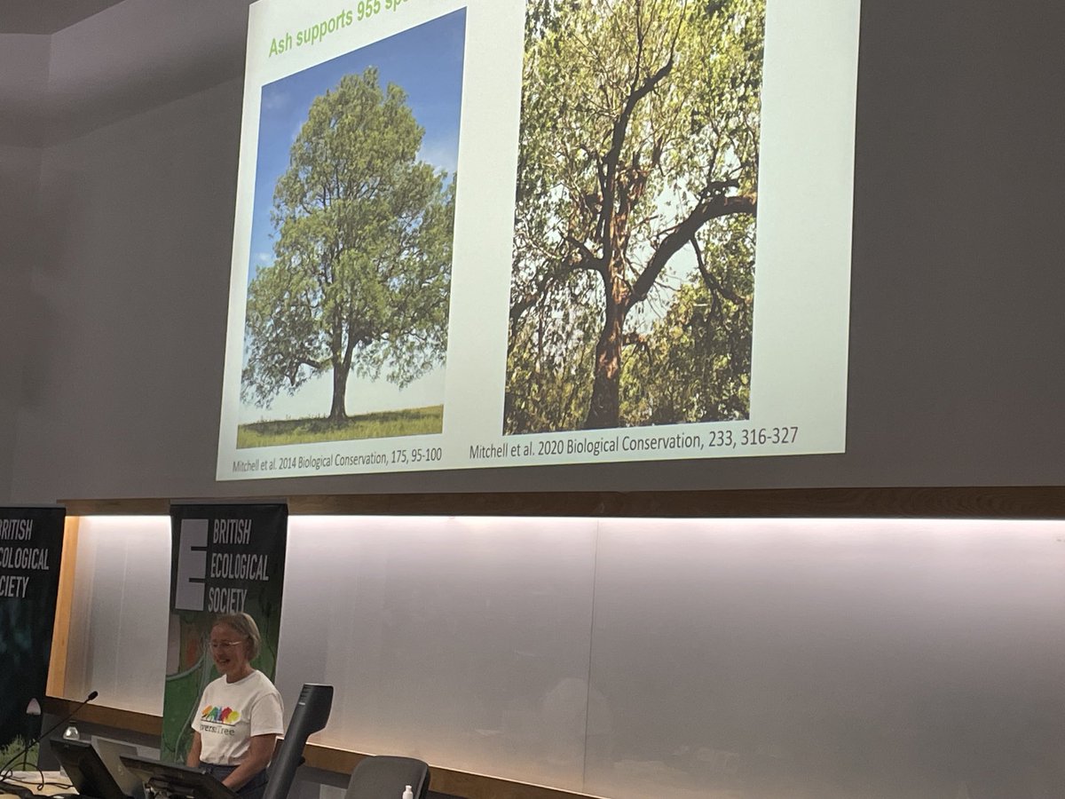 ⁦@UK_Treescapes⁩ Diversitree project lead Ruth Mitchell talks about resilience of woodlands to pests & pathogens ⁦@CCRI_UK⁩ #trees4cbp
