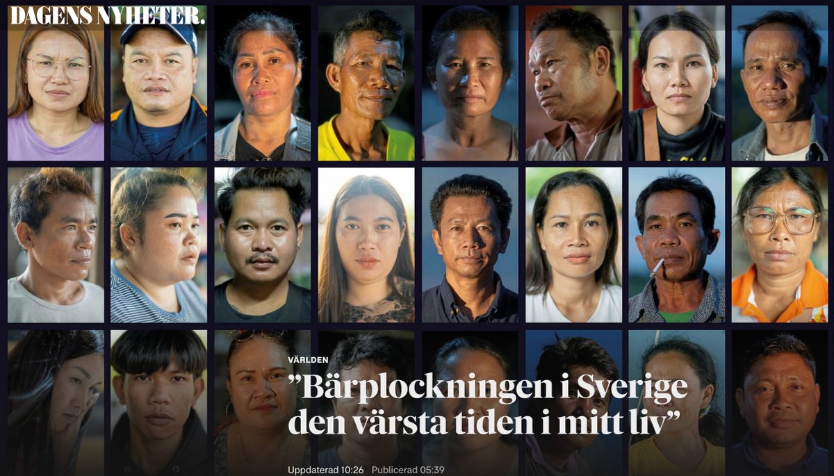 Johan Furusjö tweet media