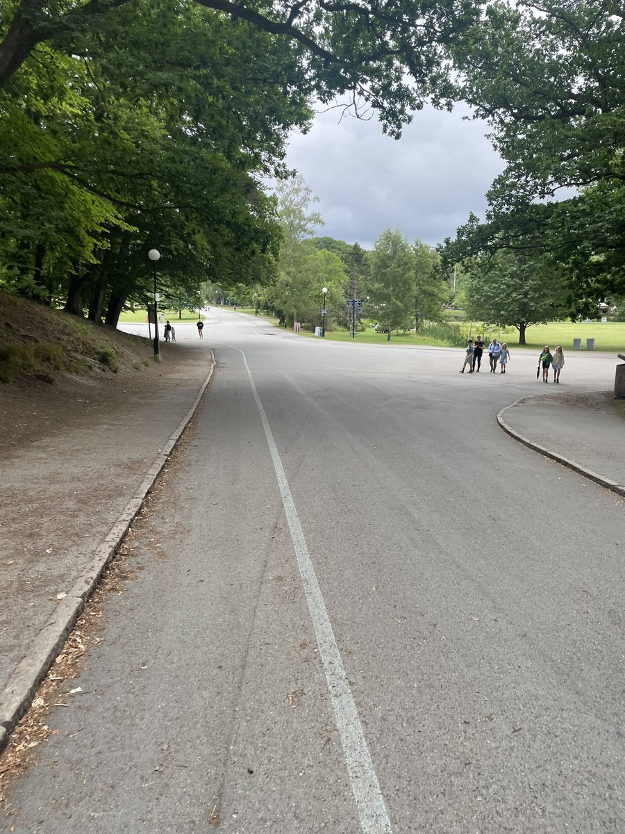 Paljetter's tweet photo. Mäktigt att vanligt hederligt folk målat en tunn blå linje genom hela slottskogen till stöd för våra hjältar i blått som varje dag städar upp bland råskinn och bus från sin station de tvingades öppna här.
#slottskogen https://t.co/U2ExDSPpjA