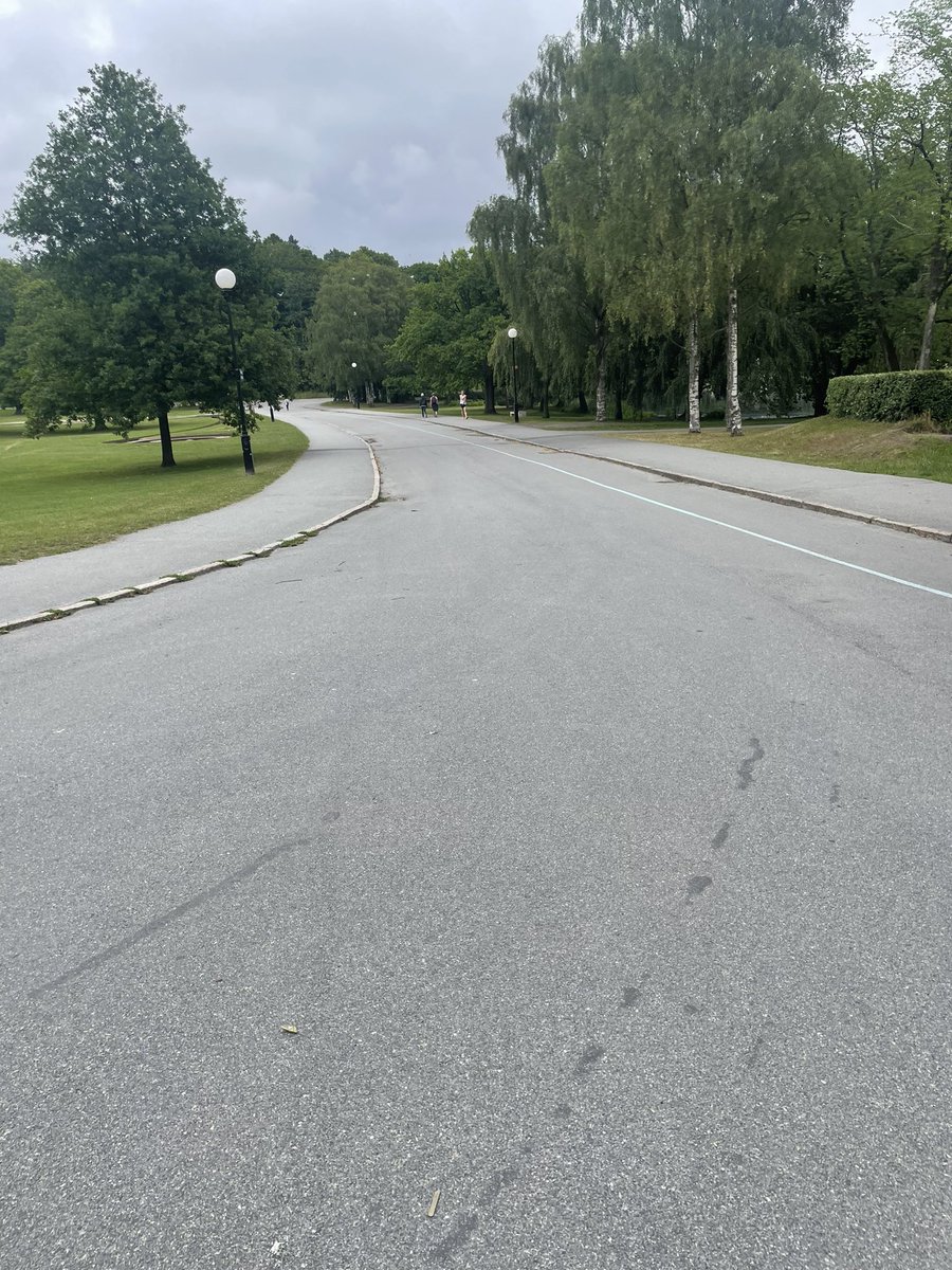 Paljetter's tweet photo. Mäktigt att vanligt hederligt folk målat en tunn blå linje genom hela slottskogen till stöd för våra hjältar i blått som varje dag städar upp bland råskinn och bus från sin station de tvingades öppna här.
#slottskogen https://t.co/U2ExDSPpjA