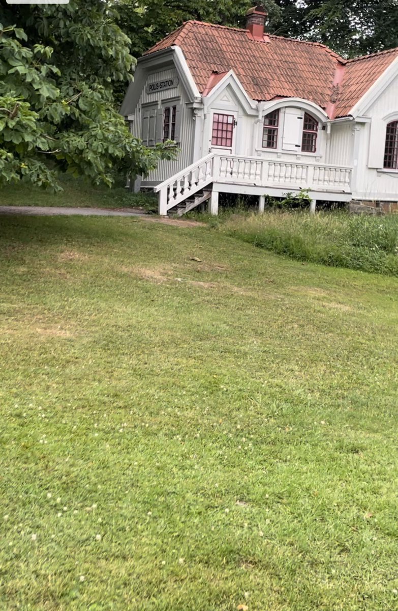 Paljetter's tweet photo. Mäktigt att vanligt hederligt folk målat en tunn blå linje genom hela slottskogen till stöd för våra hjältar i blått som varje dag städar upp bland råskinn och bus från sin station de tvingades öppna här.
#slottskogen https://t.co/U2ExDSPpjA