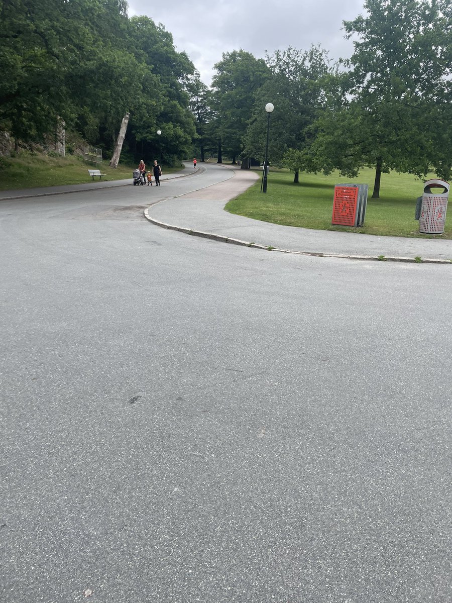 Paljetter's tweet photo. Mäktigt att vanligt hederligt folk målat en tunn blå linje genom hela slottskogen till stöd för våra hjältar i blått som varje dag städar upp bland råskinn och bus från sin station de tvingades öppna här.
#slottskogen https://t.co/U2ExDSPpjA
