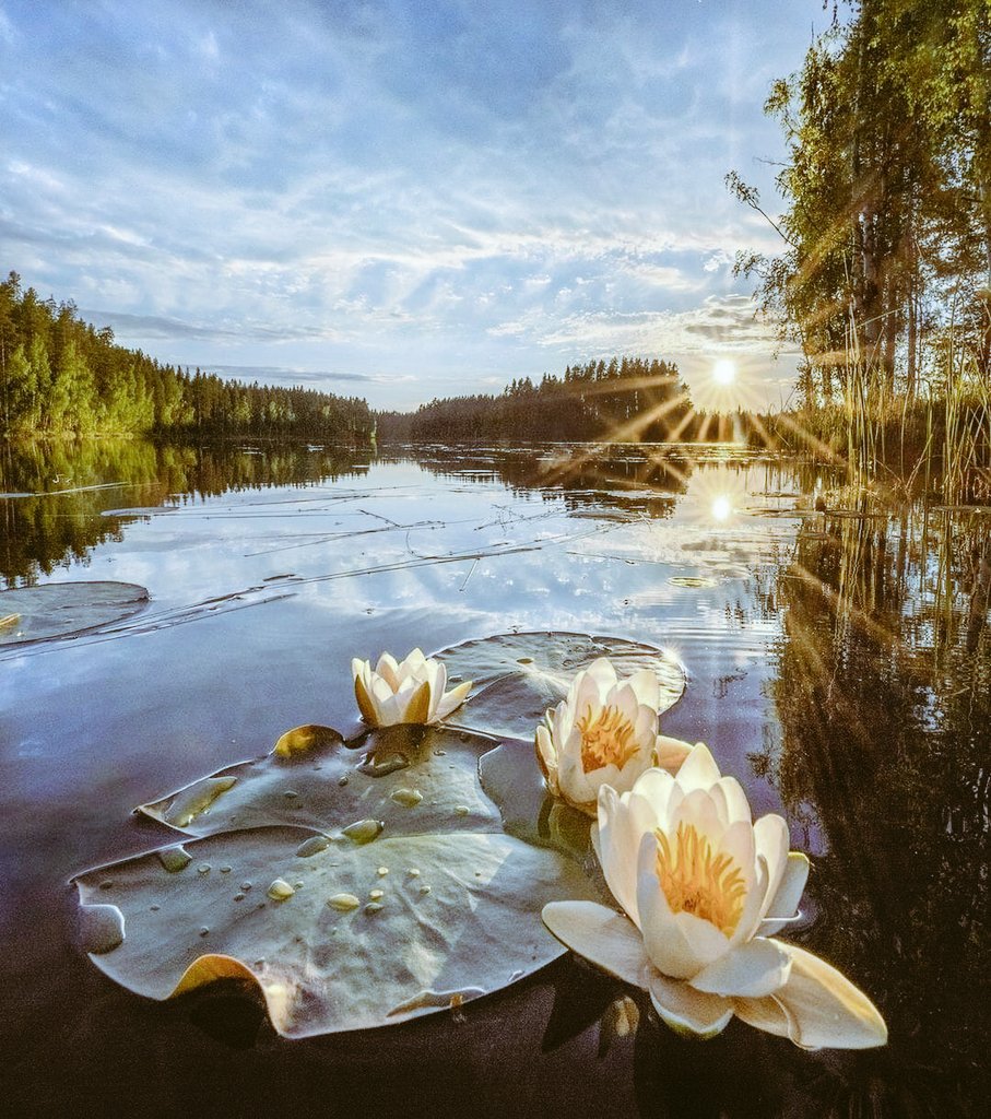 Good morning 🌞