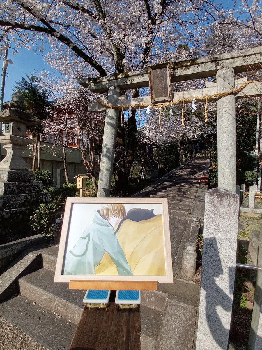 d_man4DM's tweet photo. @h_hinata_daidai これで完ケツ！
スマホ撮影風景２
若櫻神社と桜と日向橙🥞さん
@h_hinata_daidai https://t.co/yiaLrCyar8