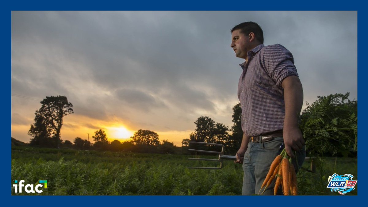 wlrfm's tweet image. 🥕 Today on #MyFarmingWeek: Meet the Dunphy family, the sustainable veggie growers! 🌱 🚜 Supplying top-quality produce to stores, pubs, and restaurants across Waterford and beyond. Listen in from 11.30am and learn more here ↪ wlrfm.com/features/my-fa…
