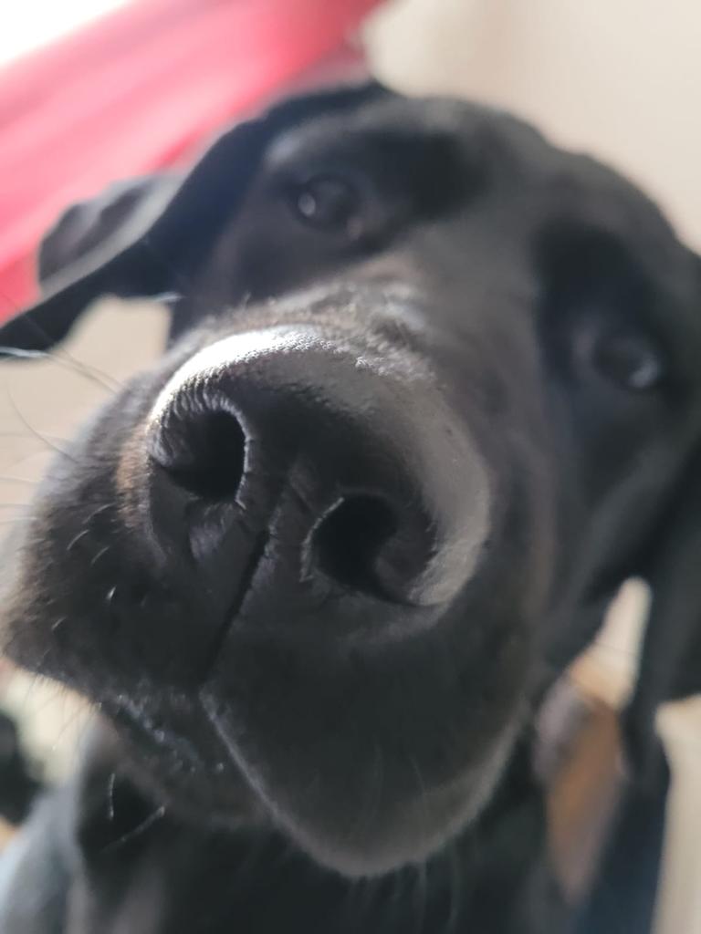 Gm everyone ☀️ 

Don't let the fud win!

What are you bullish on?