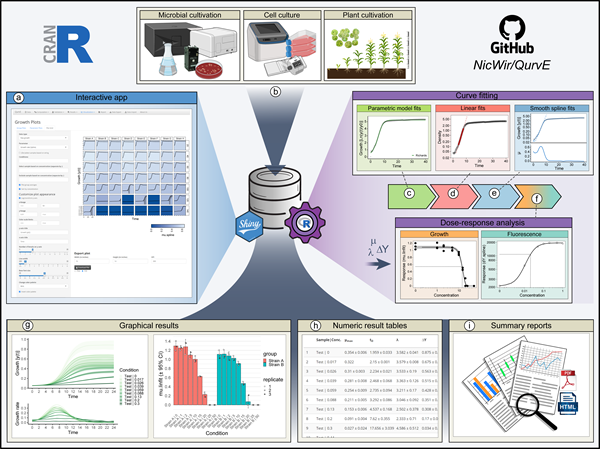 BioSteDonati's tweet photo. Check out  QurvE our new FREE software for growth and fluorescence data analysis! QurvE is our attempt to enable robust, accurate and intuitive analysis of this type of data. Publication: https://t.co/JmvDSG6ArH Website: https://t.co/6UmfJbmf6I https://t.co/NxaAxgsI63